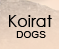 Koirat/dogs